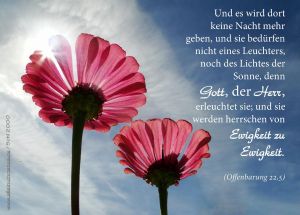 Offenbarung 22,5 - Und es wird dort keine Nacht mehr geben, und sie bedürfen nicht eines Leuchters, noch des Lichtes der Sonne, denn Gott, der Herr, erleuchtet sie; und sie werden herrschen von Ewigkeit zu Ewigkeit. Offenbarung 22,5 - Und es wird dort keine Nacht mehr geben, und sie bedürfen nicht eines Leuchters, noch des Lichtes der Sonne, denn Gott, der Herr, erleuchtet sie; und sie werden herrschen von Ewigkeit zu Ewigkeit.