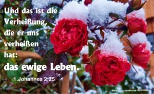 1. Johannes 2,25 - Und das ist die Verheißung, die er uns verheißen hat: das ewige Leben. 1. Johannes 2,25 - Und das ist die Verheißung, die er uns verheißen hat: das ewige Leben.