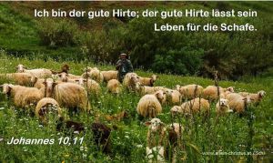 Johannes 10,11 - Ich bin der gute Hirte; der gute Hirte lässt sein Leben für die Schafe. Johannes 10,11 - Ich bin der gute Hirte; der gute Hirte lässt sein Leben für die Schafe.