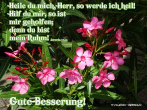 Jeremia 17,14 - Heile du mich, Herr, so werde ich heil! Hilf du mir, so ist mir geholfen; denn du bist mein Ruhm! Jeremia 17,14 - Heile du mich, Herr, so werde ich heil! Hilf du mir, so ist mir geholfen; denn du bist mein Ruhm!