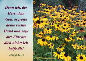 Jesaja 41,13 - Denn ich, der Herr, dein Gott, ergreife deine rechte Hand und sage dir: Fürchte dich nicht; ich helfe dir! Jesaja 41,13 - Denn ich, der Herr, dein Gott, ergreife deine rechte Hand und sage dir: Fürchte dich nicht; ich helfe dir!