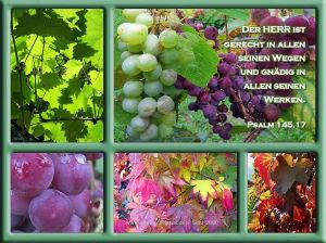 Psalm 145,17 - Der Herr ist gerecht in allen seinen Wegen und gnädig in allen seinen Werken. Psalm 145,17 - Der Herr ist gerecht in allen seinen Wegen und gnädig in allen seinen Werken.