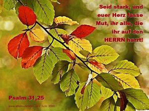 Psalm 31,25 - Seid stark und euer Herz fasse Mut, ihr alle, die ihr auf den Herrn harrt Psalm 31,25 - Seid stark und euer Herz fasse Mut, ihr alle, die ihr auf den Herrn harrt
