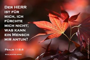 Psalm 118,6 - Der Herr ist für mich, ich fürchte mich nicht; was kann ein Mensch mir antun? Psalm 118,6 - Der Herr ist für mich, ich fürchte mich nicht; was kann ein Mensch mir antun?