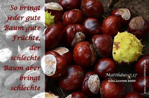 Matthäus 7,17 - So bringt jeder gute Baum gute Früchte, der schlechte Baum aber bringt schlechte Matthäus 7,17 - So bringt jeder gute Baum gute Früchte, der schlechte Baum aber bringt schlechte