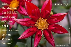 Psalm 104,31 - Die Herrlichkeit des Herrn wird ewig währen; der Herr wird sich an seinen Werken freuen! Psalm 104,31 - Die Herrlichkeit des Herrn wird ewig währen; der Herr wird sich an seinen Werken freuen!