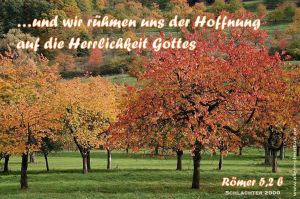 Römer 5,2 b - ...und wir rühmen uns der Hoffnung auf die Herrlichkeit Gottes Römer 5,2 b - ...und wir rühmen uns der Hoffnung auf die Herrlichkeit Gottes