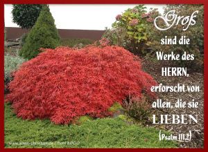 Psalm 111,2 - Groß sind die Werke des HERRN, erforscht von allen, die sie lieben Psalm 111,2 - Groß sind die Werke des HERRN, erforscht von allen, die sie lieben