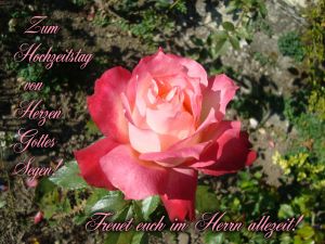 Zum Hochzeitstag von Herzen Gottes Segen - Freuet euch im Herrn allezeit! Zum Hochzeitstag von Herzen Gottes Segen - Freuet euch im Herrn allezeit!