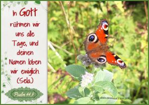 Psalm 44,9 - In Gott rühmen wir uns alle Tage, und deinen Namen loben wir ewiglich. (Sela.) Psalm 44,9 - In Gott rühmen wir uns alle Tage, und deinen Namen loben wir ewiglich. (Sela.)