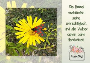 Psalm 97,6 - Die Himmel verkünden seine Gerechtigkeit, und alle Völker sehen seine Herrlichkeit. Psalm 97,6 - Die Himmel verkünden seine Gerechtigkeit, und alle Völker sehen seine Herrlichkeit.