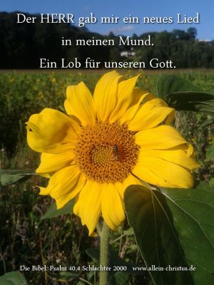 Psalm 40,4 - Der Herr gab mir ein neues Lied in meinen Mund. Ein Lob für unseren Gott. Psalm 40,4 - Der Herr gab mir ein neues Lied in meinen Mund. Ein Lob für unseren Gott.