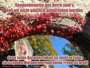 Klagelieder 3,22 - 23 - Gnadenbeweise des Herrn sind's, daß wir nicht gänzlich aufgerieben wurden, denn seine Barmherzigkeit ist nicht zu Ende; sie ist jeden Morgen neu, und deine Treue ist groß! Klagelieder 3,22 - 23 - Gnadenbeweise des Herrn sind's, daß wir nicht gänzlich aufgerieben wurden, denn seine Barmherzigkeit ist nicht zu Ende; sie ist jeden Morgen neu, und deine Treue ist groß!