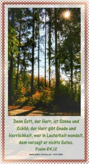 Psalm 84,12 -Denn Gott, der Herr, ist Sonne und Schild; der Herr gibt Gnade und Herrlichkeit, wer in Lauterkeit wandelt, dem versagt er nichts Gutes. Psalm 84,12 -Denn Gott, der Herr, ist Sonne und Schild; der Herr gibt Gnade und Herrlichkeit, wer in Lauterkeit wandelt, dem versagt er nichts Gutes.