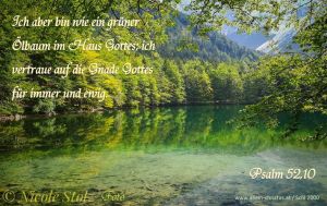 Psalm 52,10 - Ich aber bin wie ein grüner Ölbaum im Haus Gottes; ich vertraue auf die Gnade Gottes für immer und ewig. Psalm 52,10 - Ich aber bin wie ein grüner Ölbaum im Haus Gottes; ich vertraue auf die Gnade Gottes für immer und ewig.
