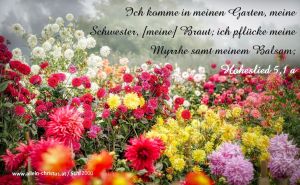 Hoheslied 5,1 a - ch komme in meinen Garten, meine Schwester, meine Braut; ich pflücke meine Myrrhe samt meinem Balsam Hoheslied 5,1 a - ch komme in meinen Garten, meine Schwester, meine Braut; ich pflücke meine Myrrhe samt meinem Balsam