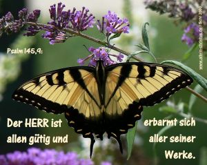 Psalm 145,9 - Der Herr ist allen gütig und erbarmt sich aller seiner Werke Psalm 145,9 - Der Herr ist allen gütig und erbarmt sich aller seiner Werke