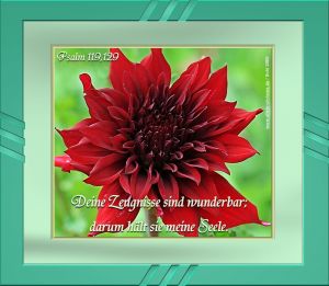 Psalm 119,129 - Deine Zeugnisse sind wunderbar, darum hält sie meine Seele Psalm 119,129 - Deine Zeugnisse sind wunderbar, darum hält sie meine Seele