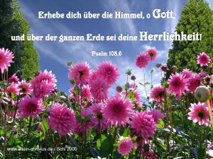 Psalm 108,6 - Erhebe dich über die Himmel, o Gott, und über der ganzen Erde sei deine Herrlichkeit Psalm 108,6 - Erhebe dich über die Himmel, o Gott, und über der ganzen Erde sei deine Herrlichkeit