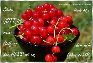 Psalm 54,6 - Siehe, Gott ist mein Helfer, der Herr ist es, der mein Leben erhält Psalm 54,6 - Siehe, Gott ist mein Helfer, der Herr ist es, der mein Leben erhält