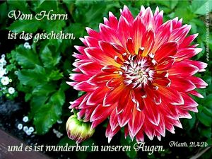 Matthäus 21,42 b - Vom Herrn ist das geschehen, und es ist wunderbar in unseren Augen Matthäus 21,42 b - Vom Herrn ist das geschehen, und es ist wunderbar in unseren Augen