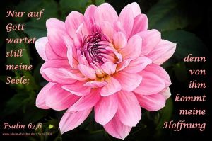 Psalm 62,6 - Nur auf Gott wartet still meine Seele, denn von ihm kommt meine Hoffnung Psalm 62,6 - Nur auf Gott wartet still meine Seele, denn von ihm kommt meine Hoffnung