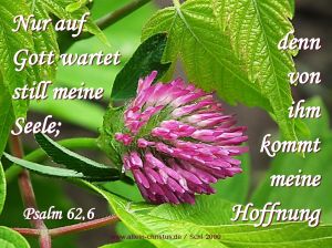 Psalm 62,6 - Nur auf Gott wartet still meine Seele, denn von ihm kommt meine Hoffnung Psalm 62,6 - Nur auf Gott wartet still meine Seele, denn von ihm kommt meine Hoffnung