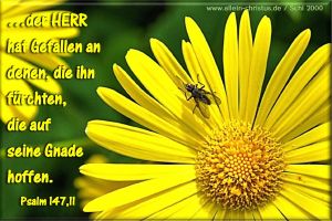 Psalm 147,11 - der Herr hat Gefallen an denen, die ihn fürchten, die auf seine Gnade hoffen Psalm 147,11 - der Herr hat Gefallen an denen, die ihn fürchten, die auf seine Gnade hoffen