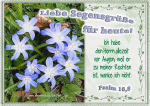 Psalm 16,8 - Ich habe den Herrn allezeit vor Augen; weil er zu meiner Rechten ist, wanke ich nicht. Psalm 16,8 - Ich habe den Herrn allezeit vor Augen; weil er zu meiner Rechten ist, wanke ich nicht.