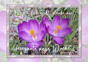 Markus 5,36 b - Fürchte dich nicht, glaube nur Markus 5,36 b - Fürchte dich nicht, glaube nur