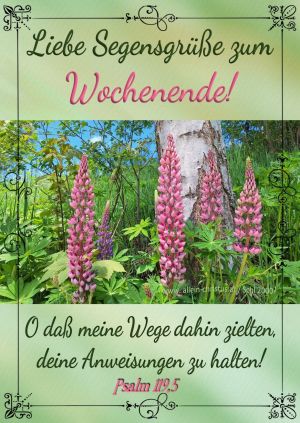 Psalm 119,5 - O daß meine Wege dahin zielten, deine Anweisungen zu halten! Psalm 119,5 - O daß meine Wege dahin zielten, deine Anweisungen zu halten!