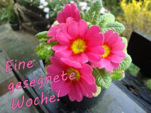 Eine gesegnete Woche - ohne Bibelvers Eine gesegnete Woche - ohne Bibelvers