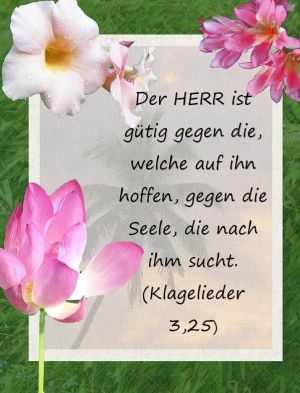 Klagelieder 3,25 - Der Herr ist gütig gegen die, welche auf ihn hoffen, gegen die Seele, die nach ihm sucht Klagelieder 3,25 - Der Herr ist gütig gegen die, welche auf ihn hoffen, gegen die Seele, die nach ihm sucht