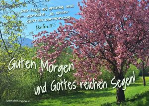 HEUTE HEUTE