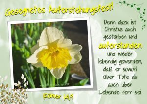 AUFERSTEHUNGSFEST (OSTERN) AUFERSTEHUNGSFEST (OSTERN)