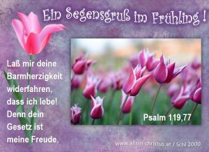 FRÜHLING FRÜHLING
