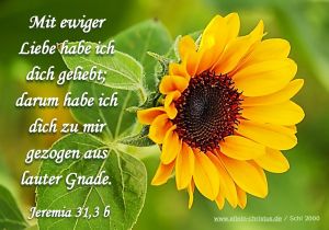 SOMMER SOMMER