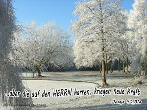 WINTER WINTER