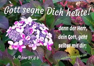 Gott segne Dich heute! - 5. Mose 31,6 b - ...denn der Herr, dein Gott, geht selbst mit dir; Gott segne Dich heute! - 5. Mose 31,6 b - ...denn der Herr, dein Gott, geht selbst mit dir;