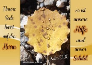Psalm 33,20 - Unsere Seele harrt auf den Herrn; er ist unsere Hilfe und unser Schild. Psalm 33,20 - Unsere Seele harrt auf den Herrn; er ist unsere Hilfe und unser Schild.