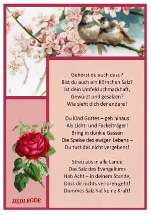 Das Salz der Erde von Hedi Bode Das Salz der Erde von Hedi Bode