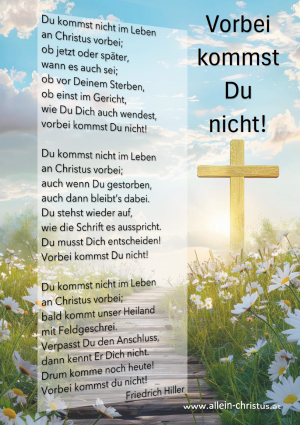 Vorbei kommst du nicht! von Friedrich Hiller Vorbei kommst du nicht! von Friedrich Hiller