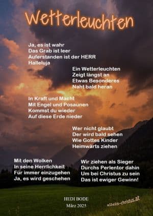 Wetterleuchten von Hedi Bode Wetterleuchten von Hedi Bode