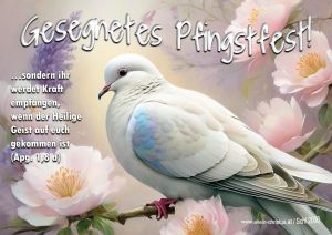 Apostelgeschichte 1,8 a - sondern ihr werdet Kraft empfangen, wenn der Heilige Geist auf euch gekommen ist Apostelgeschichte 1,8 a - sondern ihr werdet Kraft empfangen, wenn der Heilige Geist auf euch gekommen ist