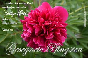 Apostelgeschichte 1,8 a - sondern ihr werdet Kraft empfangen, wenn der Heilige Geist auf euch gekommen ist Apostelgeschichte 1,8 a - sondern ihr werdet Kraft empfangen, wenn der Heilige Geist auf euch gekommen ist