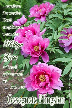 Apostelgeschichte 1,8 a - sondern ihr werdet Kraft empfangen, wenn der Heilige Geist auf euch gekommen ist Apostelgeschichte 1,8 a - sondern ihr werdet Kraft empfangen, wenn der Heilige Geist auf euch gekommen ist
