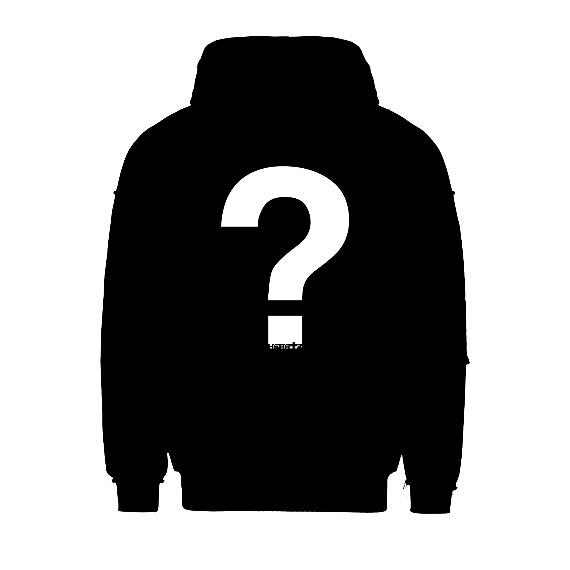 «THE MYSTERY HOODIE»