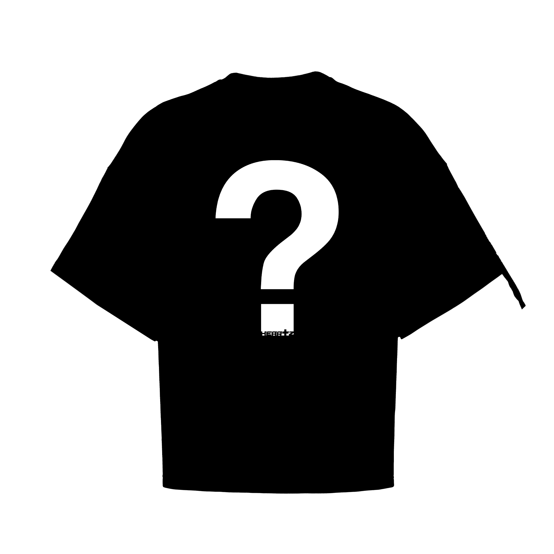 «THE MYSTERY T-SHIRT»
