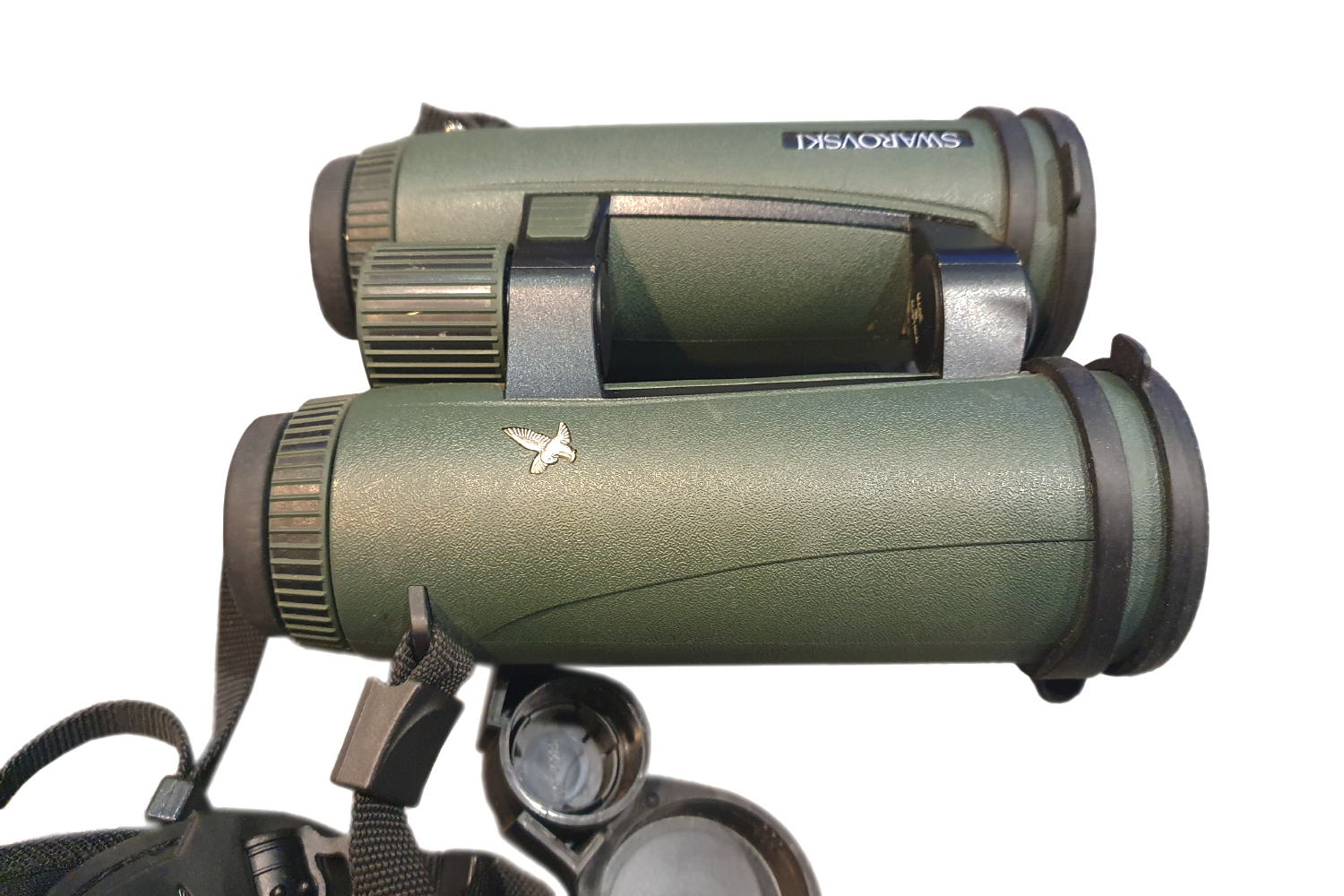 Sw EL Range 8x42 (5) Sw EL Range 8x42 (5)