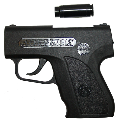 DobrynyasBAMom DobrynyasBAMom